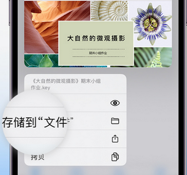 迪庆apple维修中心分享iPhone文件应用中存储和找到下载文件