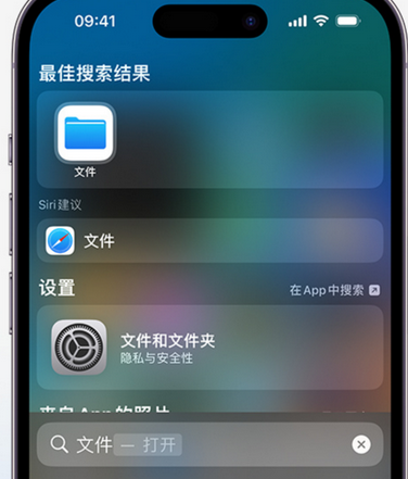 迪庆apple维修中心分享iPhone文件应用中存储和找到下载文件 