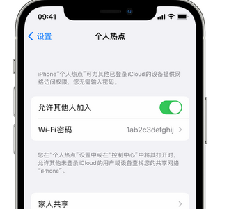 迪庆apple服务站点分享iPhone上个人热点丢失了怎么办 