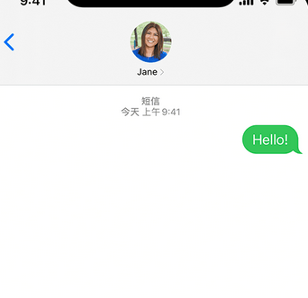 迪庆apple维修iPhone上无法正常发送iMessage信息