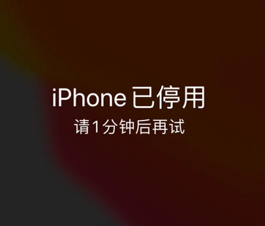 迪庆苹果手机维修分享:iPhone 显示“不可用”或“已停用”怎么办？还能保留数据吗？ 