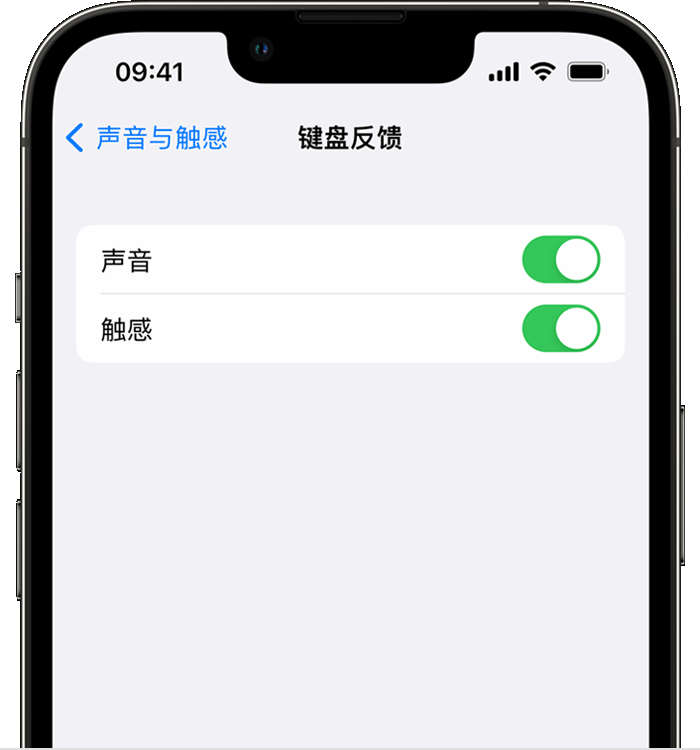 迪庆苹果14维修店分享如何在 iPhone 14 机型中使用触感键盘 