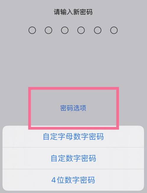 迪庆苹果14维修分享iPhone 14plus设置密码的方法 