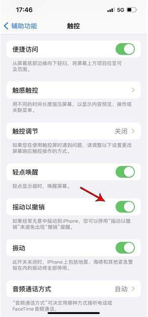 迪庆苹果手机维修分享iPhone手机如何设置摇一摇删除文字 